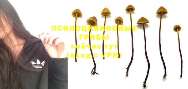 MDMA Premium VHQ Богородск