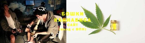метадон Богданович