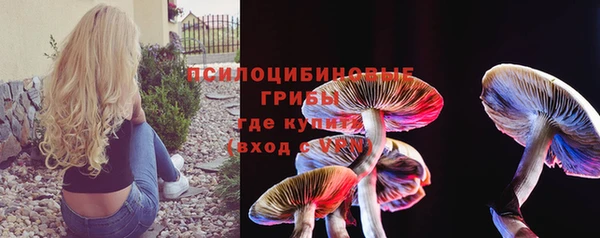 метадон Богданович